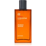 Collistar Uomo Acqua Wood toaletna voda za muškarce (brown) 100 ml | shoptok.hr