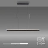 SCHÖNER WOHNEN 11316-18 - led prigušiva viseći luster na sajli lena LED/32W/230V crna | Eponuda.com