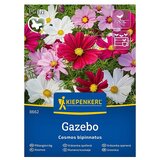 KIEPENKERL Cvetlična semena Pernatolistna kozmeja Gazebo (Cosmos bipinnatus, Večbarvna) | Shoptok.si