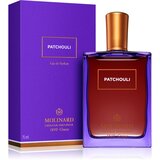 Molinard Les Elements Collection Patchouli parfemska voda 75 ml unisex Cijene