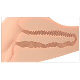 Pipedream PDX Plus PDX Plus 360° Banger Skin | shoptok.hr