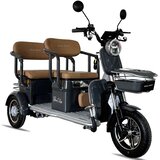  Električni tricikl TITAN PLUS 650 W HANIU HN650DZK-C (HNCS5) siva | Eponuda.com