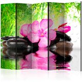  Paravan u 5 dijelova - Fuzzy Reflection II [Room Dividers] 225x172 | shoptok.hr