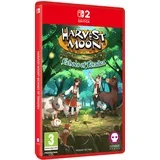 Moon Echoes of Teradea (SWITCH 2)