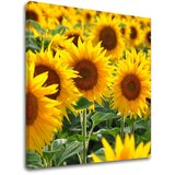  Slike na platnu žuto CVEĆE_168-12 (moderne slike na platnu) | ePonuda.com