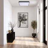 LED stropno svetlo FELIZ LED/40W/230V 4000K 40x40 cm crna | Eponuda.com