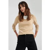 Defacto Regular Fit V Neck Sweater