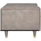 vidaXL Klubska miza Siva 100 x 54 x 40 cm trden mangov les | Shoptok.si