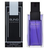Alfred Sung Sung Homme toaletna voda 100 ml za moške | Shoptok.si