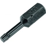Lux Tools Bit za bušilicu 2 torzijski bitovi TX15 Cijene