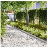 vidaXL vrtna obroba, 100x0,05x15 cm u