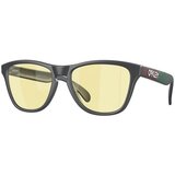 Oakley Frogskins Xs Naočare za sunce OJ 9006 40 Cene
