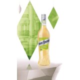 Marie Brizard Elderflower 0,7l Cene