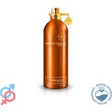 Montale Aoud Melody - 100ml | Eponuda.ba