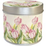 Sköna Ting Dišeča sveča "Rožnati tulipan" - 1 k. Cene