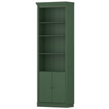 Livetastic REGAL 74/223/37 cm zelena Cene