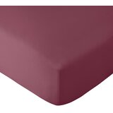 Catherine Lansfield Bordo plahta s gumom 90x190 cm So Soft Non Iron – Cijene