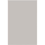 vidaXL rolo zavesa za prho 160x240 cm širina tkanine 156 cm | Shoptok.si