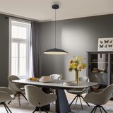 SCHÖNER WOHNEN 14607-18-LED prigušiva luster na sajli LENTE LED/23W/230V prečnik 50 cm crna | Eponuda.com