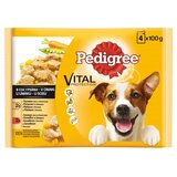 Pedigree govedina/perutnina v želeju 4 x 100 g Cene