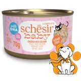 Schesir baby Cat Chicken With Salmon 70 g, Vlažna Hrana Sa Piletinom I Lososom Cene