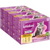 Whiskas Mega pakiranje Junior vrečke 48 x 85 g - Perutninski izbor v želeju Cene