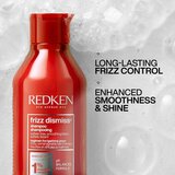 Redken Frizz Dismiss darilni set za neobvladljive lase | Shoptok.si