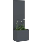  Privatnost u vrtu Antracit 50 x 150 cm Hladno valjana čelična | shoptok.hr