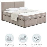 Bonami Selection Sivorjava boxspring postelja 160x200 cm Olia Bold – | Shoptok.si