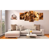  Slika - Beautiful Lion 100x50 | shoptok.hr