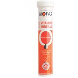 Biofar 12 vitamina + 12 minerala 20/1 100151 Cene