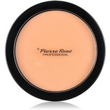 Pierre René Face kompaktni puder sa zrcalom i aplikatorom nijansa 03 Transparent 8 g Cijene