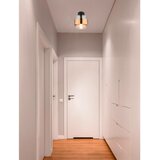Globo Stropna lampa 1xE27 60W MILLEY | shoptok.hr