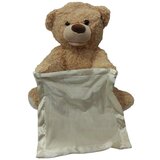  Meda skrivalica Peekaboo ( 104403 ) | ePonuda.com