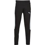 Puma Spodnji deli trenirke EVOSTRIPE PANTS Črna | Shoptok.si
