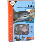 Ammonite Shark Excavation Educational Kit | shoptok.hr