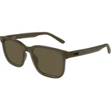 PU0527S 005 ONE SIZE (55) Rjava/Rjava