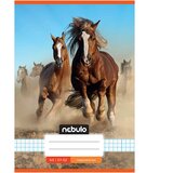 NEBULO A5 bilježnica sa kockastim uzorkom i motivom divljih konja, 27-32 Cijene