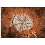  Tapeta - The Soul of a Tree 300x210 | shoptok.hr