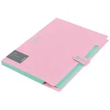fascikla sa 5 pregrada i kopčom haze 600my roze ( 04CEB327172I )