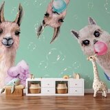  Foto tapeta - Crazy Llamas 250x175 Vodootporna | shoptok.hr