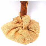 Molarem Home Umjetno božićno drvce - NATUR EXCLUSIVE 180 cm | shoptok.hr
