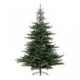 Novogodišnja jelka Grandis fir Everlands 150cm