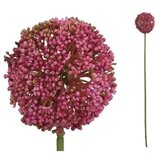  CVIJET ALLIUM 60CM FUKSIJA PVC Cijene