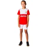 SL Benfica Mini Kit trening komplet dres za dječake