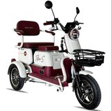  Električni tricikl TITAN S 650 W HANIU HN650DZK-B (H9S) crvena | Eponuda.com