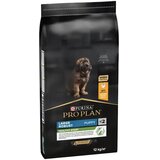 Purina PRO PLAN Healthy Start Large Robust Puppy Chicken - hrana za štence velikih rasa robusne građe sa piletinom (12kg) Cene