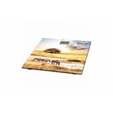 Muhler Mühler MSC3077S - Digitalna vaga ( savana) | ePonuda.com