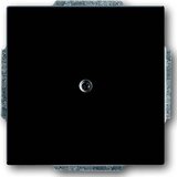 Busch-Jaeger Centralni disk anth slepi pokrov s podpornim obročem 1742-81, (20858353) Cene
