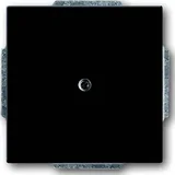 Centralni disk anth slepi pokrov s podpornim obročem 1742-81, (20858353)